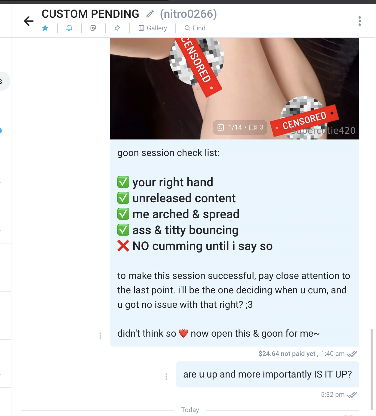 Messages received by a high-value fan · Evidence from the Shaxa audit